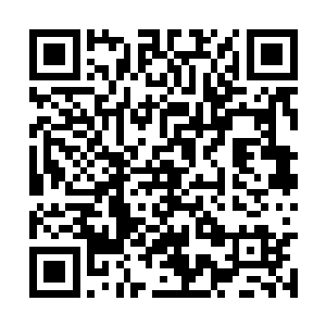 然后又黑色的身影顺着绳索飞快的像城里划了过来二维码生成