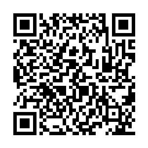 然后发誓此生一定要将沈凡和沈凡有关的人杀死二维码生成