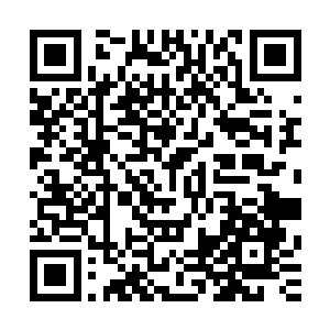 然后只听见唰唰唰的挥动战魂剑的声音以及一道道刺目的剑光二维码生成
