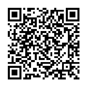 然后只见紫衣人手中也出现了一个巴掌大小的小葫芦二维码生成