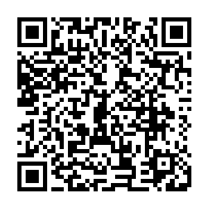 然后只贴着山崖在着陡峭的只有一点点突起能抓着借力的小路上行走了大半圈二维码生成