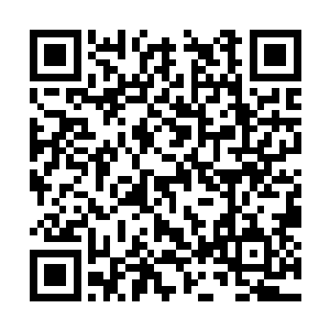 然后右手拿着一柄亮闪闪的手术刀在喷火龙的脸上二维码生成