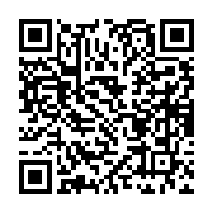 然后叶虞就看到熟悉的俩个少年有些可怜地冲着他笑二维码生成