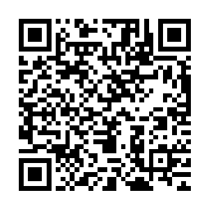 然后同时给予埃温达拉群岛各个岛屿与家族之间的巨大的自治权二维码生成