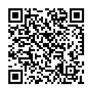 然后向自然借助一点点它们的力量……仅此而已二维码生成