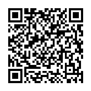 然后吸吸鼻子用有着浓重鼻音的嗓子对着酒店里面吆喝道二维码生成