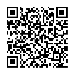 然后和她们聊聊家常感受感受这世俗中的美好……二维码生成