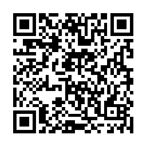 然后唇慢慢地落在了她手指上那枚红色的钻石戒指上二维码生成