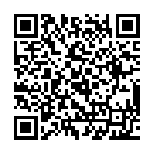然后唰的一声以一个自以为潇洒的姿势展开手中的折扇二维码生成