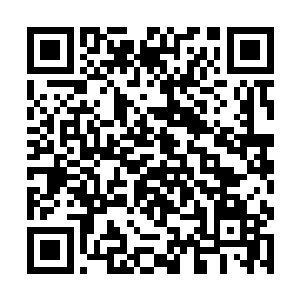 然后回来安慰这个不依不饶还要和秦洛通话的小家伙二维码生成