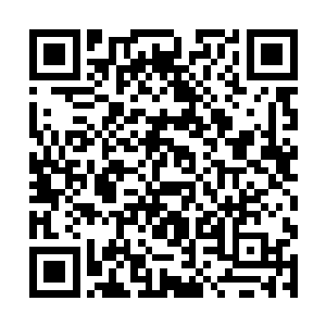 然后国王拿着水晶鞋再让安蒂的姐姐蒂娜试穿水晶鞋二维码生成