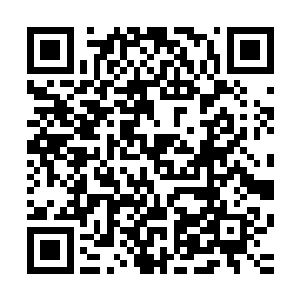 然后在一阵沉闷至极的撞击声中直接将楚刑的尸骸砸成了碎片二维码生成
