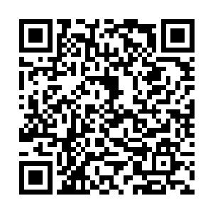 然后在一阵阵剧烈的能量嗡鸣声中纠缠融合在了一起二维码生成