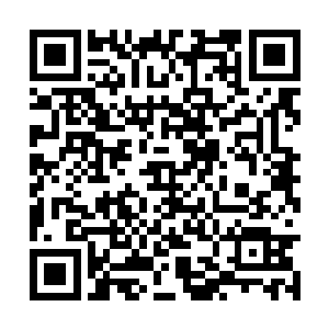 然后在之后被那命运主神摩罗斯亲自出手所击杀的二维码生成