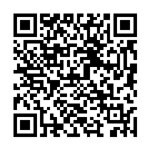 然后在他和纳林身边就出现了一层非常隐秘的光影二维码生成