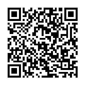 然后在半途中化为了一个个散发出强大气息的树人二维码生成