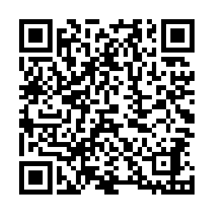 然后在朱颜被他一个眼神弄的又白了脸的蹭到琴瑟色身旁后二维码生成