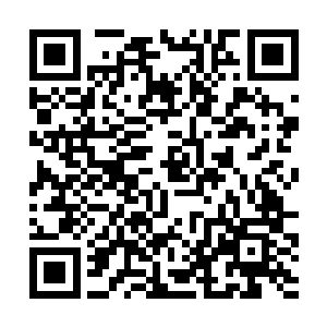 然后在退了几步到了那泛着淡绿荧光的墙壁处的时候二维码生成