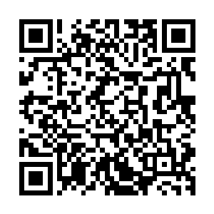 然后在黑着脸盯着那把大锄头和那好似墙一般的黑耳屎几息后二维码生成