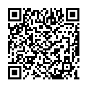 然后复刻的记忆和个人构成的依文莉形成副人格二维码生成