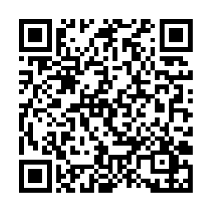 然后她就领头朝着两个水下漩涡中间的缝隙钻了过去二维码生成