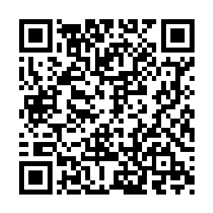 然后她的手被一只比她大了很多的男性的手拉起二维码生成