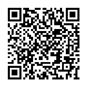 然后如狼似虎的警犬立即夹起尾巴向着远处跑去二维码生成