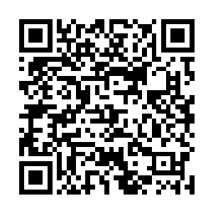 然后它那铜铃般的大眼就看到上方轰隆隆砸下无数妖物二维码生成