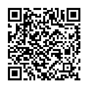 然后对着唯一一个留在小女孩身边的亲人大喊到二维码生成