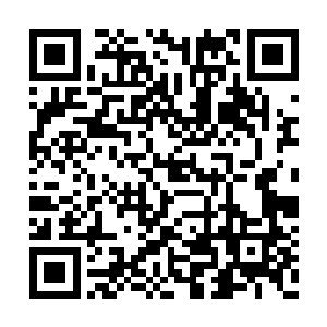 然后将各自的防备区域以及各自的任务分配下去二维码生成