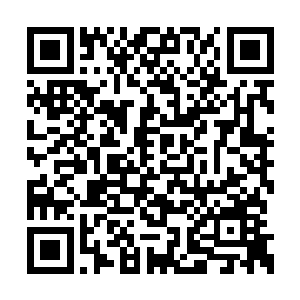 然后将手指向着大殿中间的那九个符文处指了指二维码生成