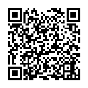 然后将手里的书册轻轻的在包子小丫鬟脑门上敲了一下二维码生成