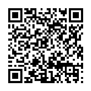 然后将目光放在了身前那被血修罗操纵的红龙身上二维码生成