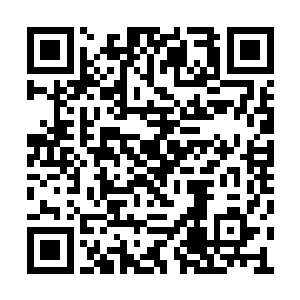 然后将自己的生活用品全都收进了一个小箱子里二维码生成