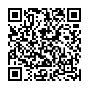 然后将装着妖丹的储物袋和装着灵石的储物袋交给了许麟二维码生成