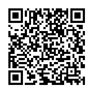 然后将这个毒蛇华夏结摆在了半山一块以前平整出来二维码生成