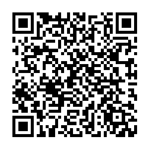然后就他手下的一名至尊境高手给干掉了……这要是对象换成他湿婆的话二维码生成