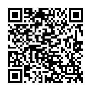 然后就像蛇吞小鹿一般的将那头颅慢慢的吞下了二维码生成