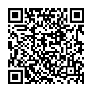 然后就发现双眸已经恢复黑色的红甲正虚弱的看着她二维码生成