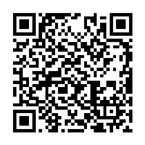 然后就在那个教练一个翻身侧踢朝艾琳蹬脸的时候二维码生成