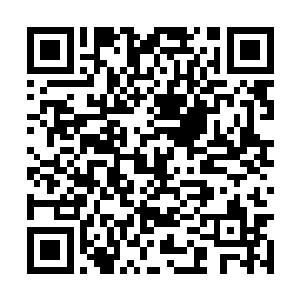 然后就将一旁的钢笔拿了起来打算签上自己的大名二维码生成