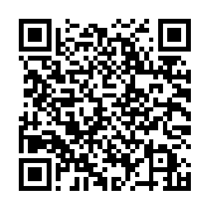 然后就是几双手把晕晕乎乎的周允晟从修复舱内扶出来二维码生成