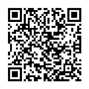 然后就是洪涛和大姨夫公司里的那两个工程技术人员二维码生成