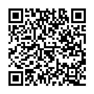 然后就是走马灯般的一个个不断地朝着舞台中间的叶凡走去二维码生成