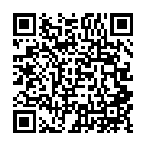 然后就直接摔倒下去了……幸好地面都是厚厚的地毯二维码生成