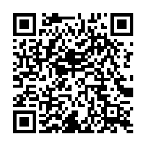 然后就看到一位位灰衣杂役僧抬着斋堂的条凳进了院子二维码生成