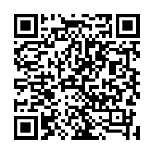 然后就看到了大屏幕上他们五个人鬼鬼祟祟准备离开的身影二维码生成