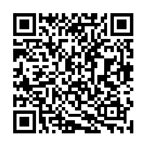 然后就看到了看到奶油中那一个食品用塑料布的一角二维码生成