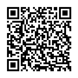 然后就看到了这里竟然是蒙娜丽莎夫人的凯瑟宫二维码生成