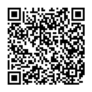 然后就看到了雨果那张放大版的脸庞出现在了大屏幕里的小屏幕之上二维码生成